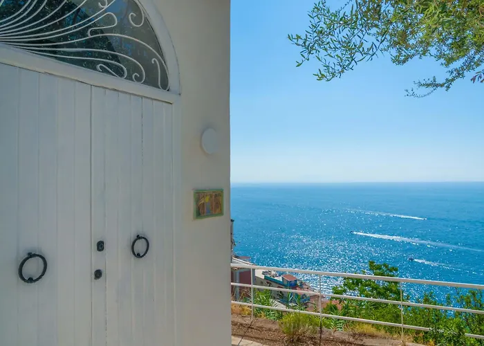 - Jacaranda * 普莱亚诺