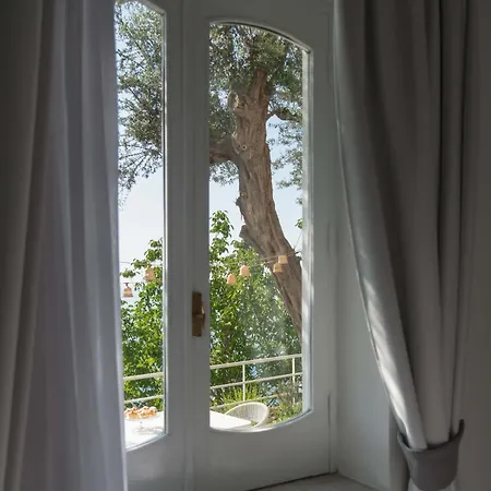 - Jacaranda * Праяно